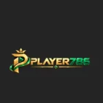 player786 game (2)